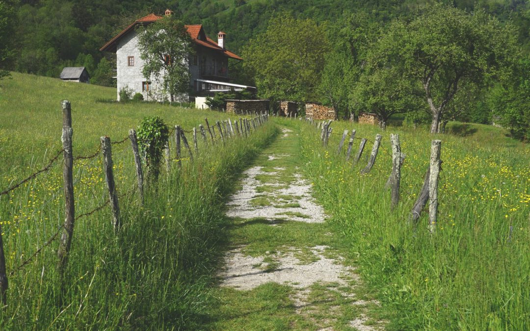 Las geometrías jurídicas de los caminos públicos en España